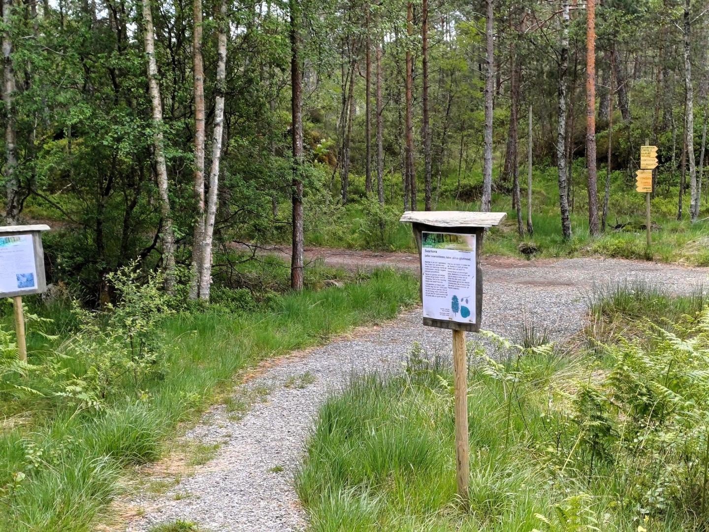 I Naturstien er det massevis av skilt som forteller om natur, skog og skogbruk. Galleribilde
