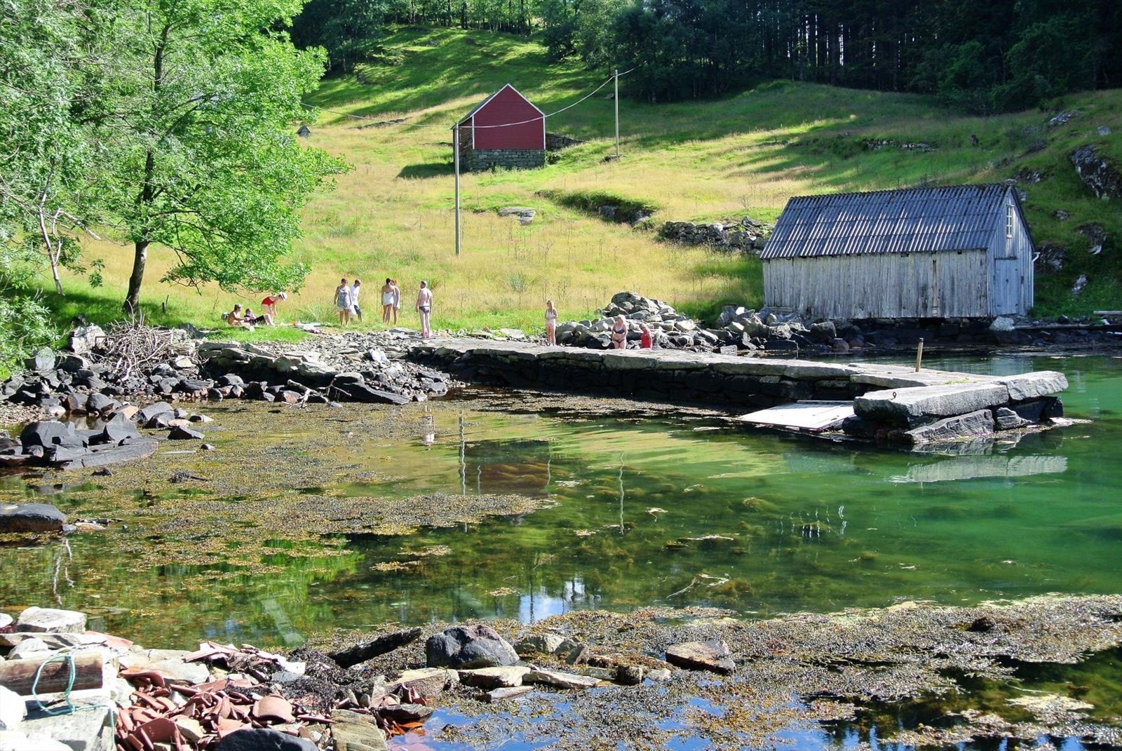 Rett til naustet medfølger eiendommen. Samt rett til brygge og sjøhus til høyre for naustet. Den store bryggen er naboen sin. Galleribilde