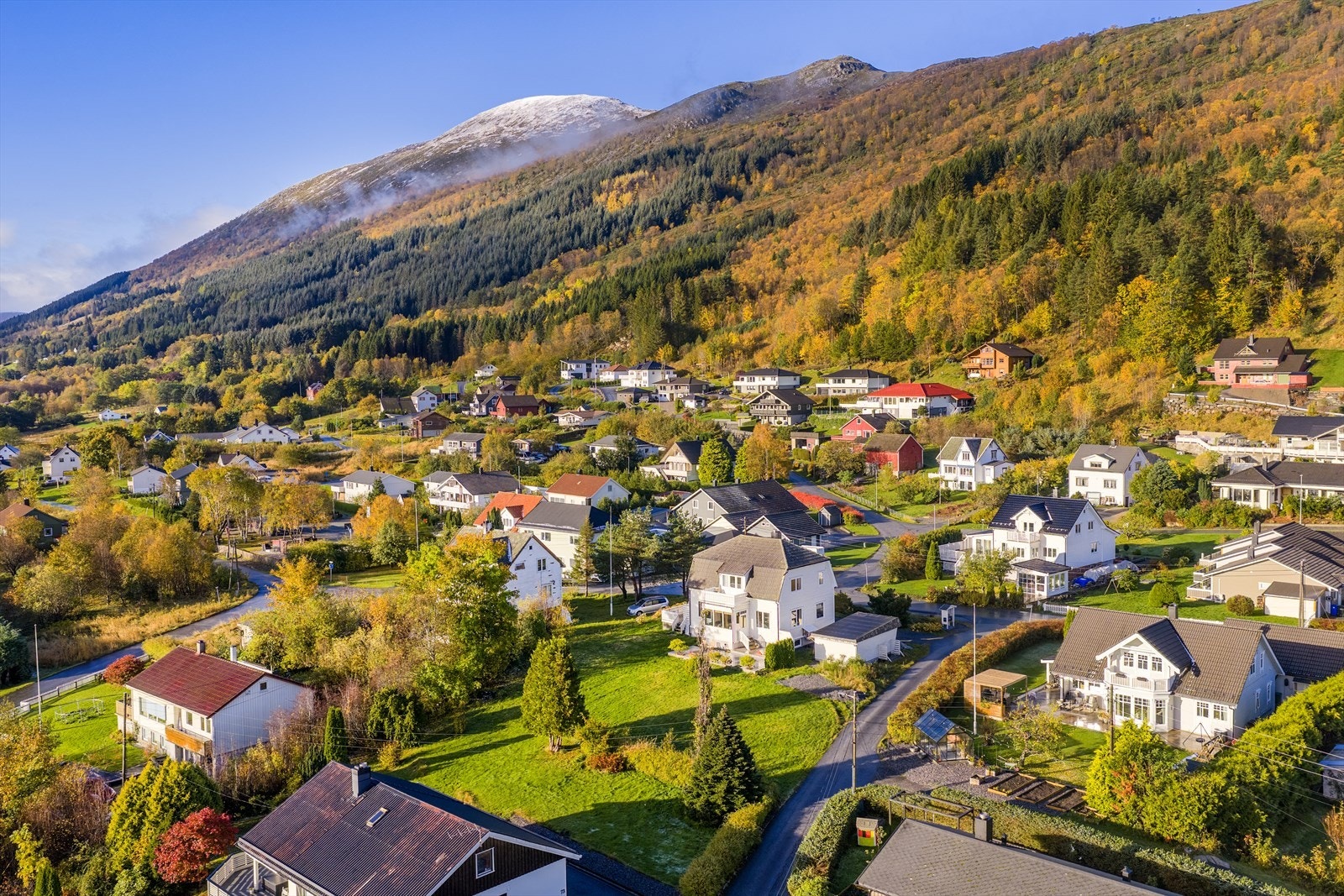 Velkommen til Bautevegen 69! Galleribilde