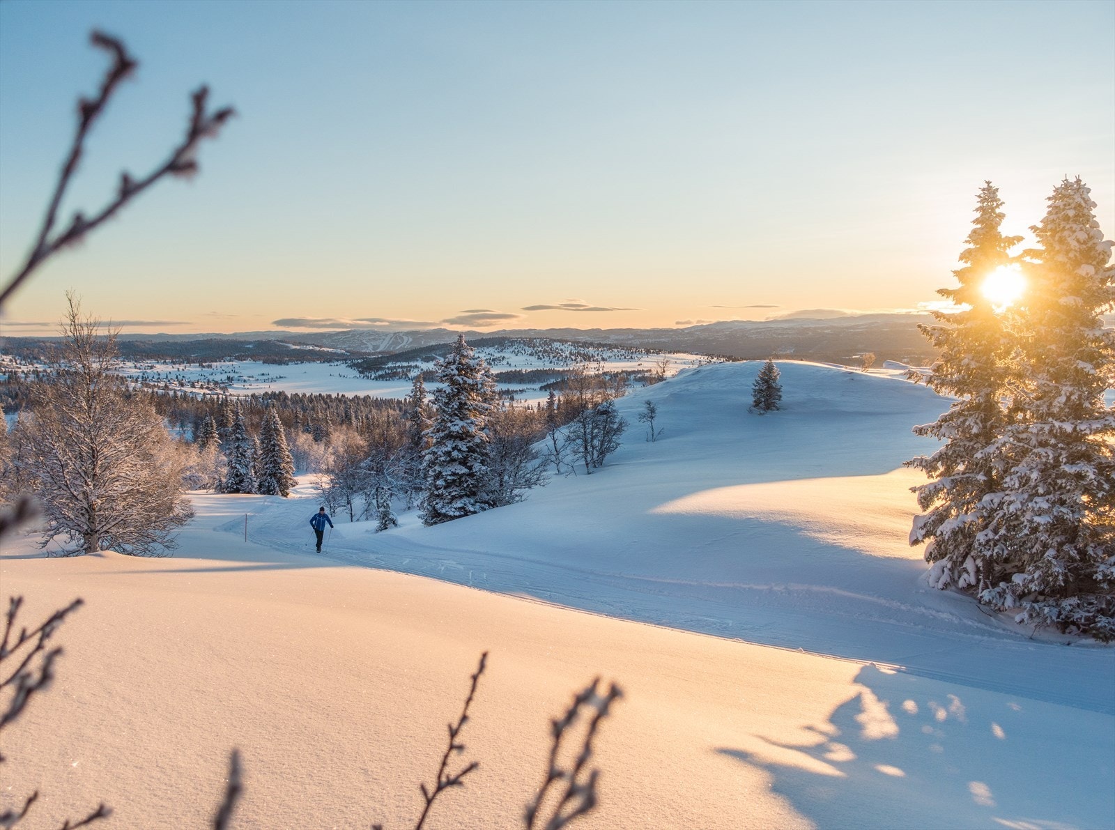 Langrenn Nes Nordmark. Foto Lars Storheim (7).jpg Galleribilde