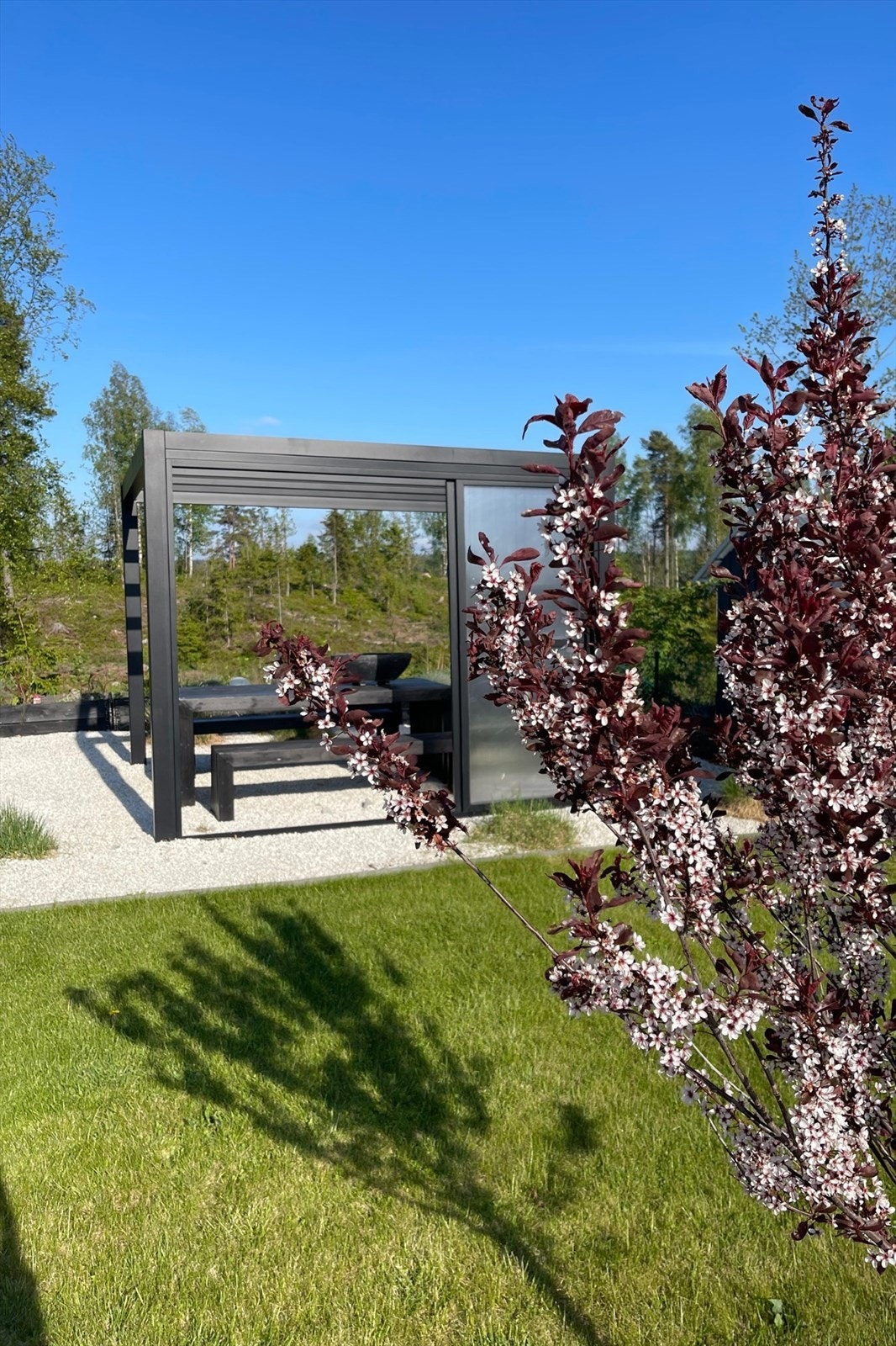 Vårstemning på første rad - blomstring, blå himmel og et uterom som inviterer til kaffekopp nummer to Galleribilde