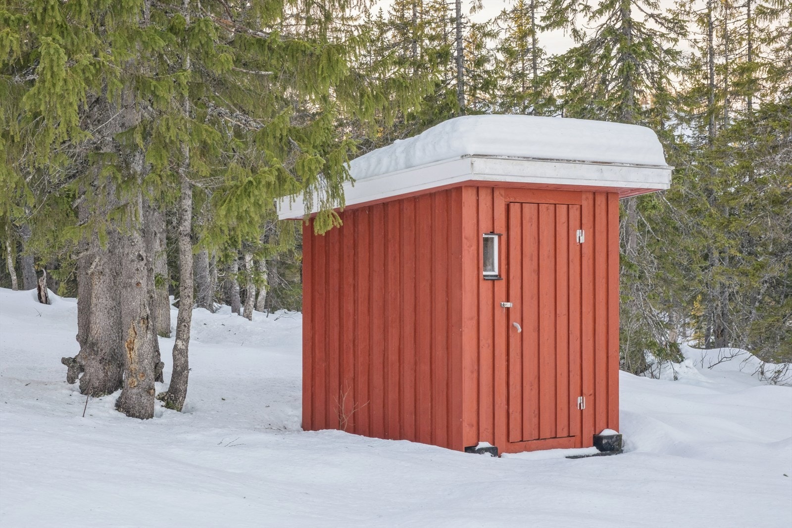 Her har du enkel tilgang på milevis med oppkjørte skiløyper. Galleribilde