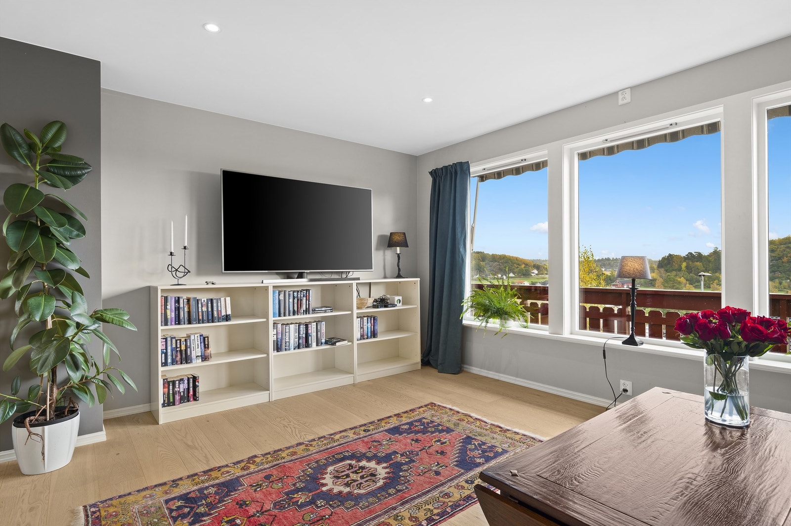 Lekker tv-stue! Galleribilde