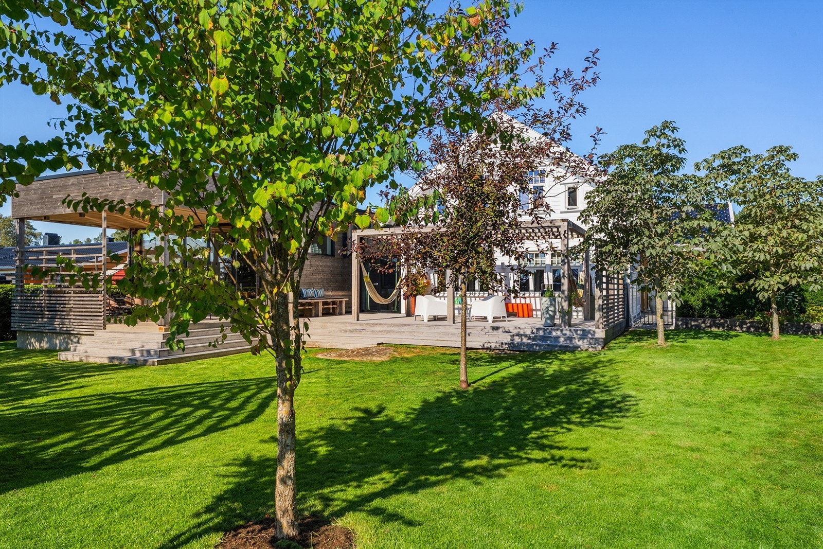 Flotte trær og beplantinger i hagen Galleribilde