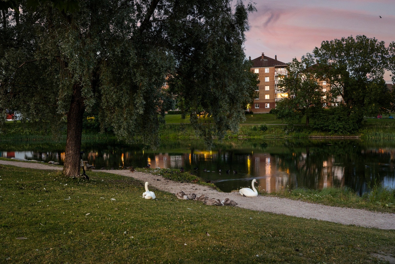 Valle Hovin - Hovindammen Galleribilde