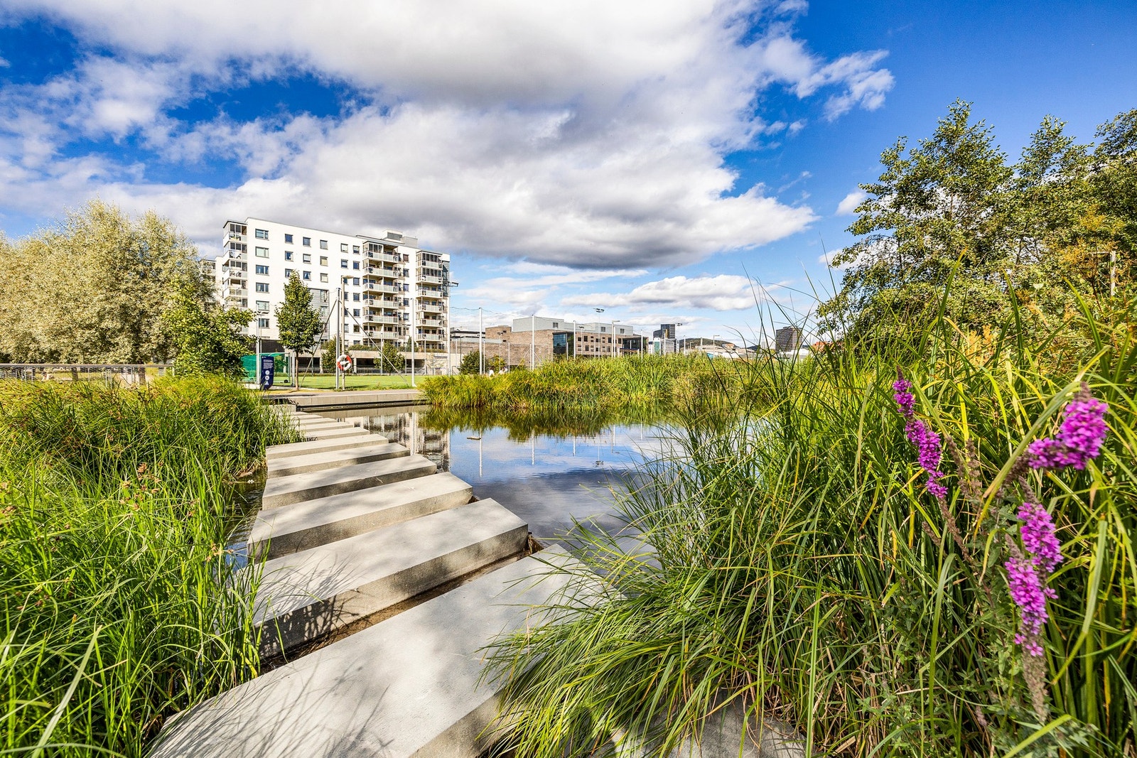 Nærområdet - Tegleverksdammen Galleribilde