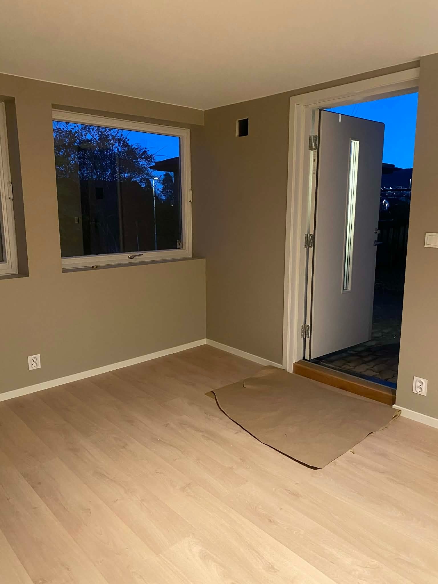 Gang/stue Galleribilde