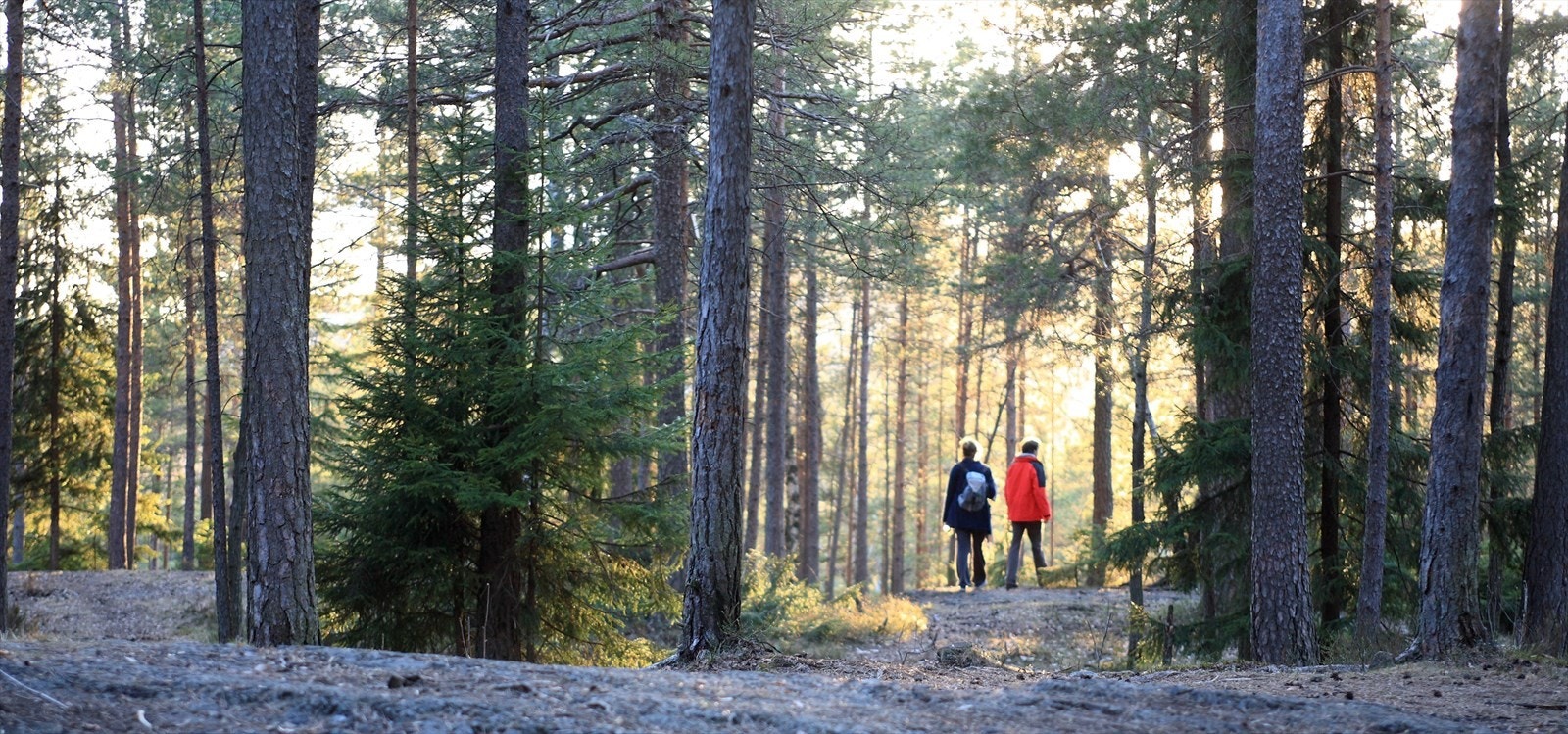 Fin beliggenhet rett ved Marka. Kort gangavstand til T-banestopp på Holstein og Norges Idrettshøyskole Galleribilde