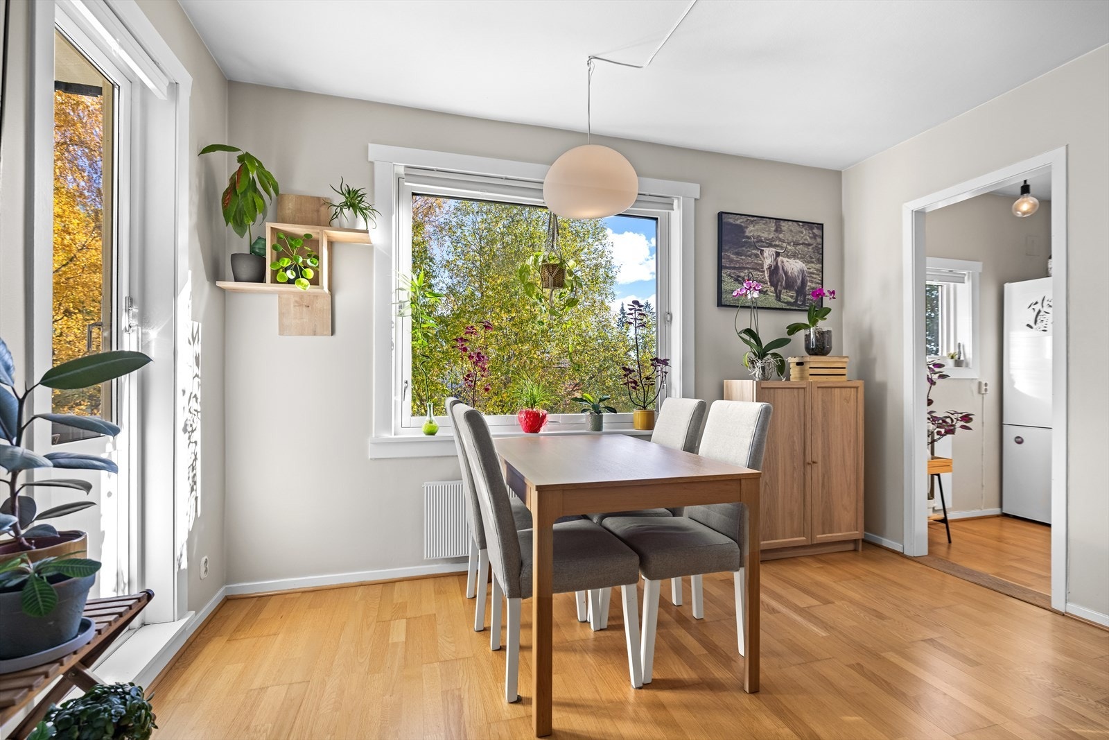 Store vinduer gir mye naturlig lys Galleribilde