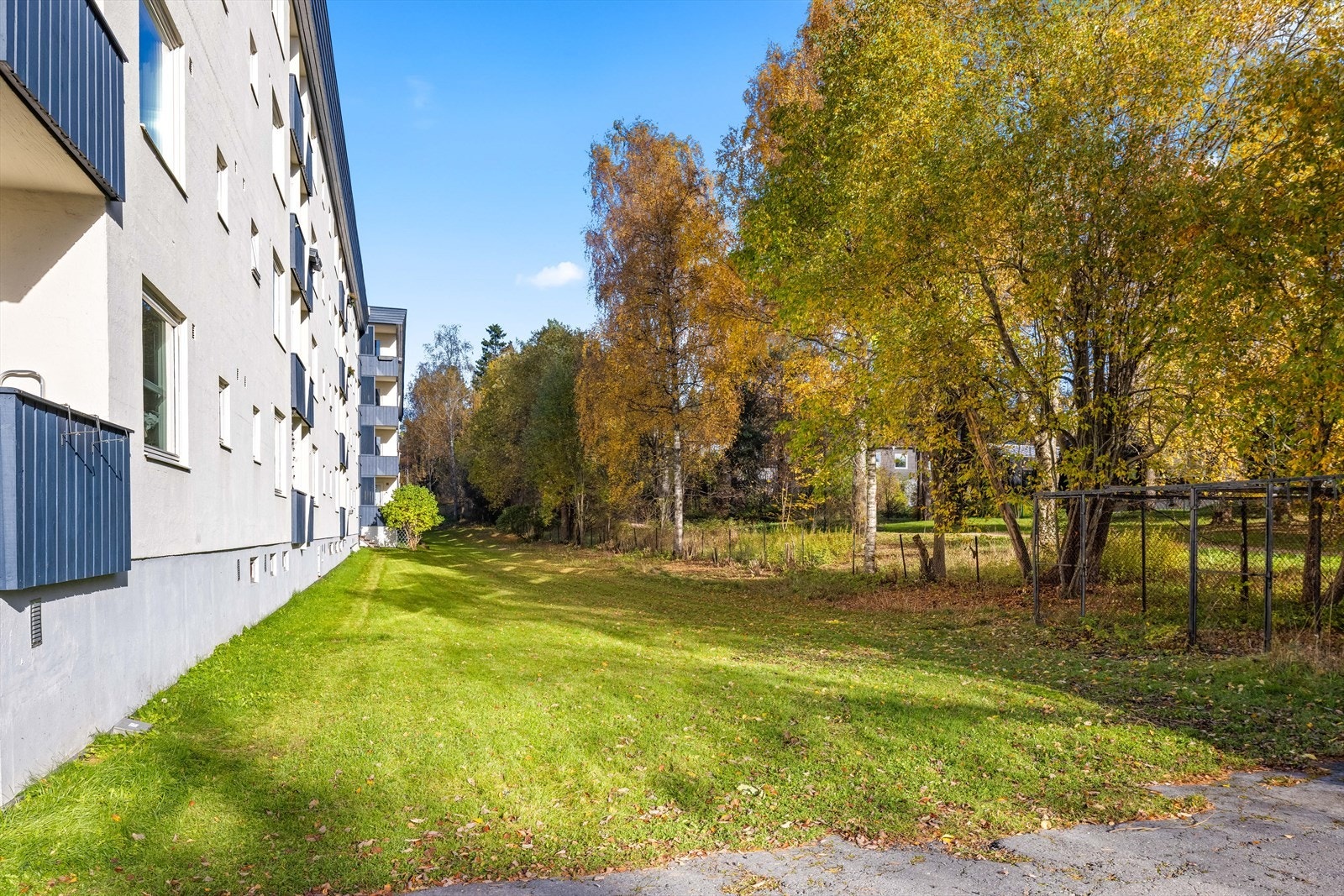 Pusset og malt fasade. Felles hage rundt bygningene Galleribilde