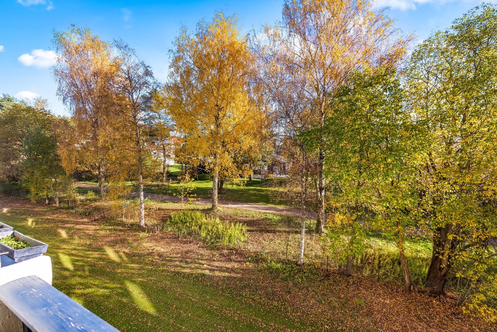Ett flott område året rundt med nærhet til badevann om sommeren, sopp om høsten og skiløyper fra døra på vinteren Galleribilde