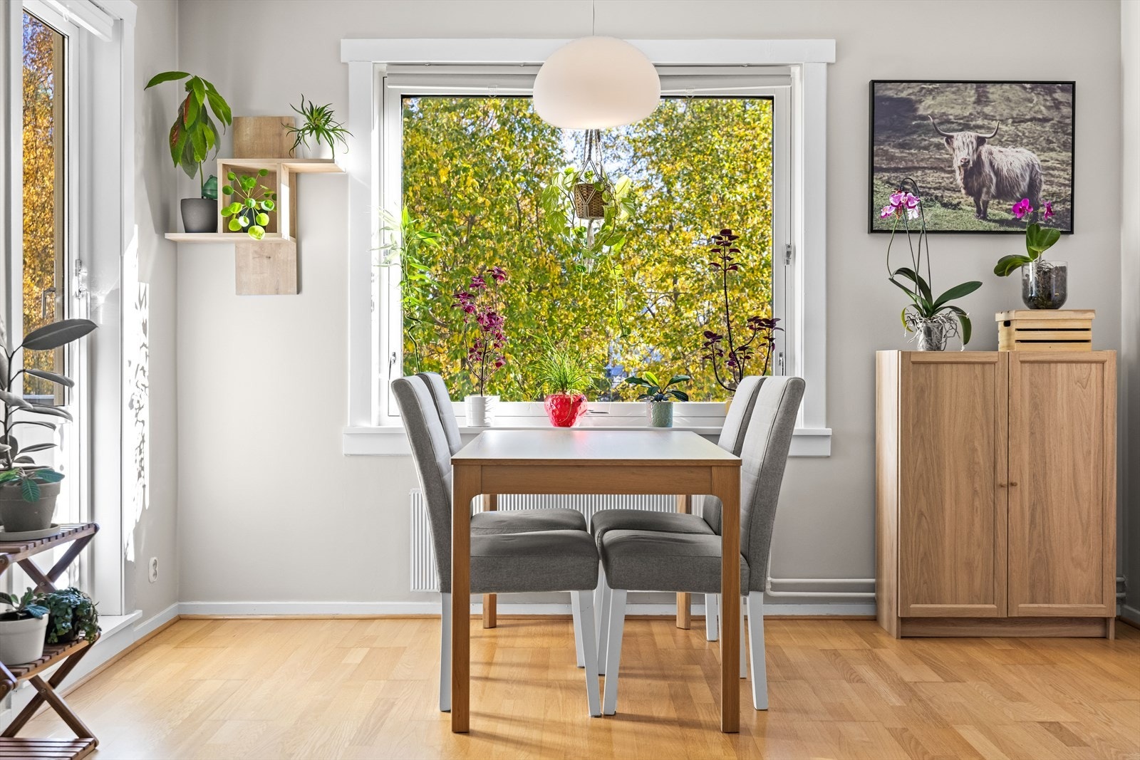 Lys spiseplass med utsikt mot grønne omgivelser Galleribilde