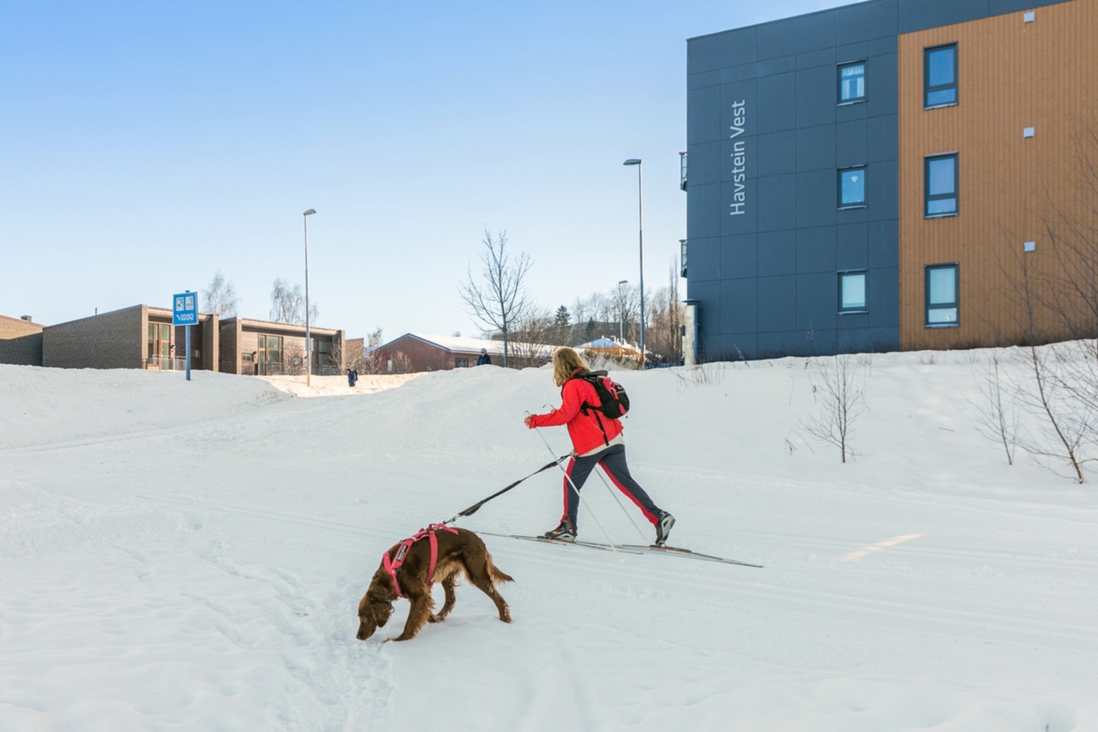 Rett over veien, på Havstad, starter skisporet som tar deg opp til lysløypenettverket i Bymarka. Galleribilde