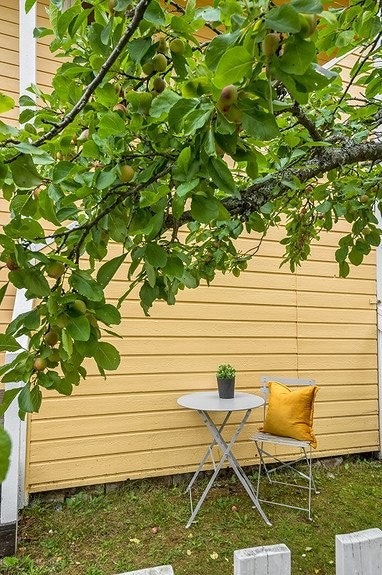 din lille kosekrok på utsiden under plommetreet Galleribilde