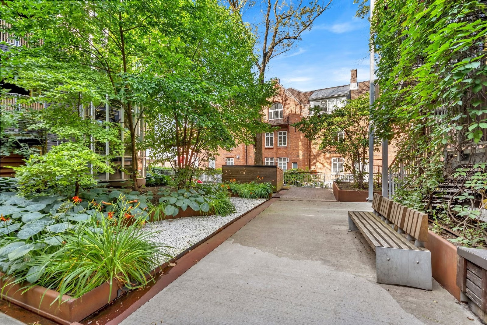 Sommerbilde fra bakgården Galleribilde