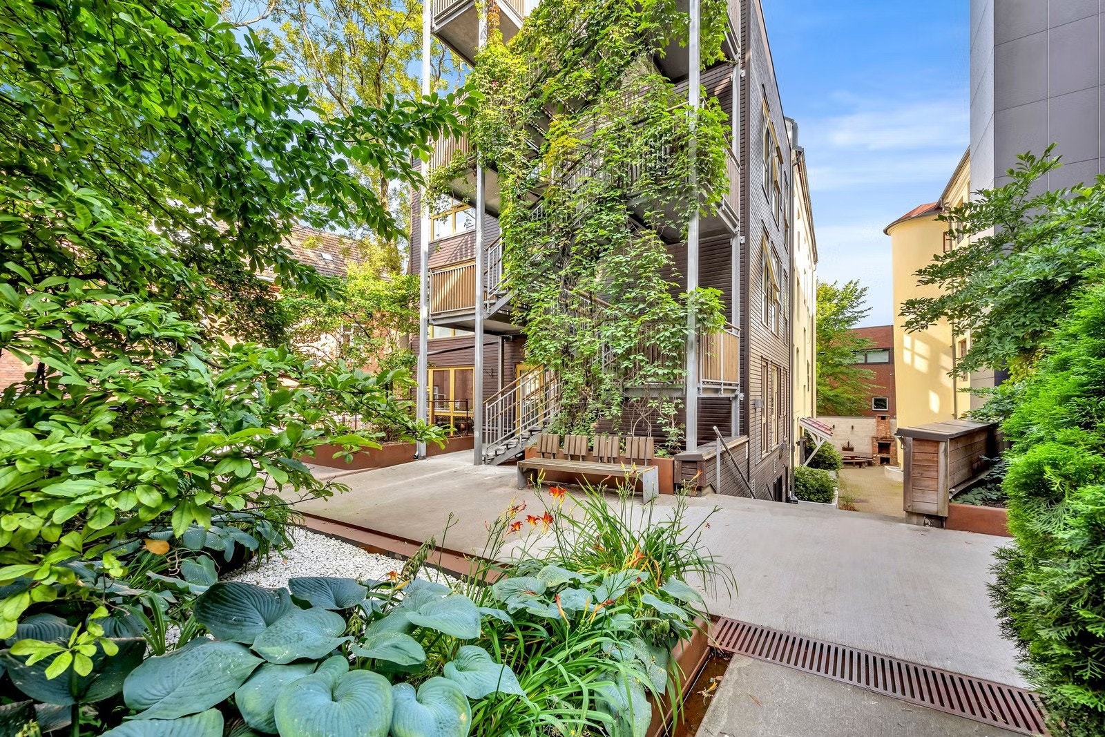 Sommerbilde fra bakgården. Galleribilde