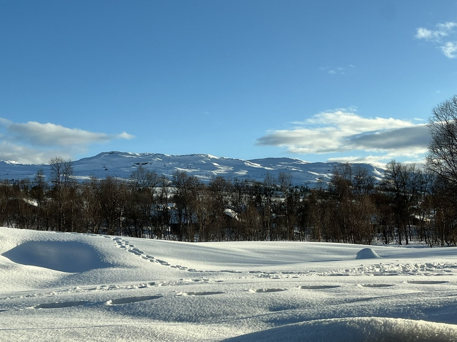 Vinterstemning med utsikten mot Hartevassnutane. Galleribilde