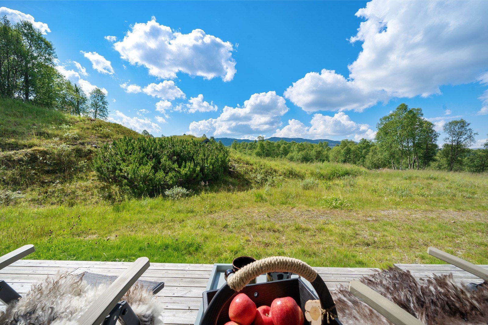 Rett ut i terrenget. Flott utsikt. Galleribilde