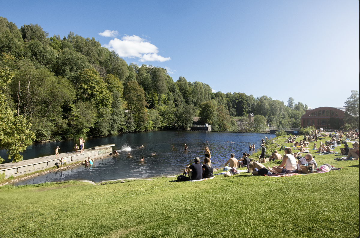 Nydalsdammen 15 min gange unna Galleribilde