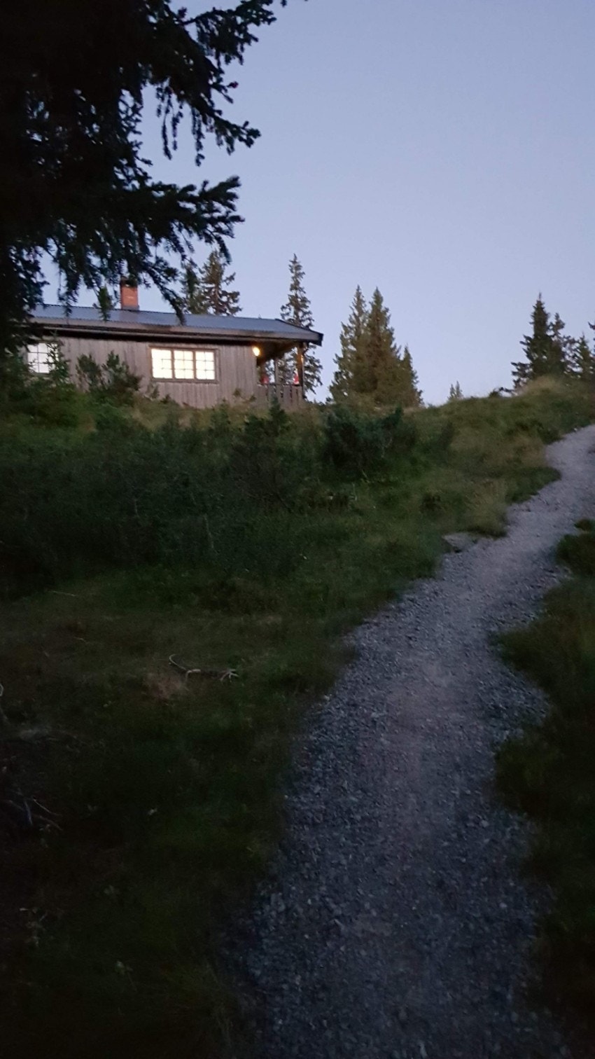 Stien opp til hytta - Bilde fra selgers arkiv Galleribilde