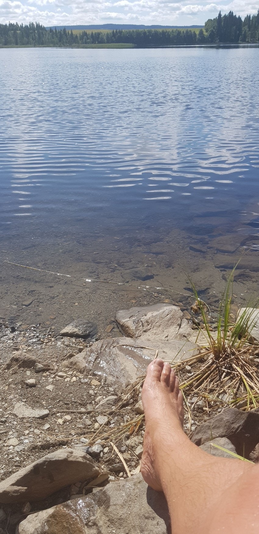 Bilde fra selgers arkiv Galleribilde