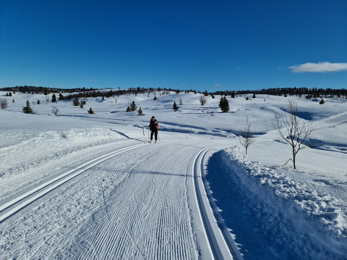 Fine skiløyper - Husk å støtte løypelaget. Bilde fra selgers arkiv Galleribilde