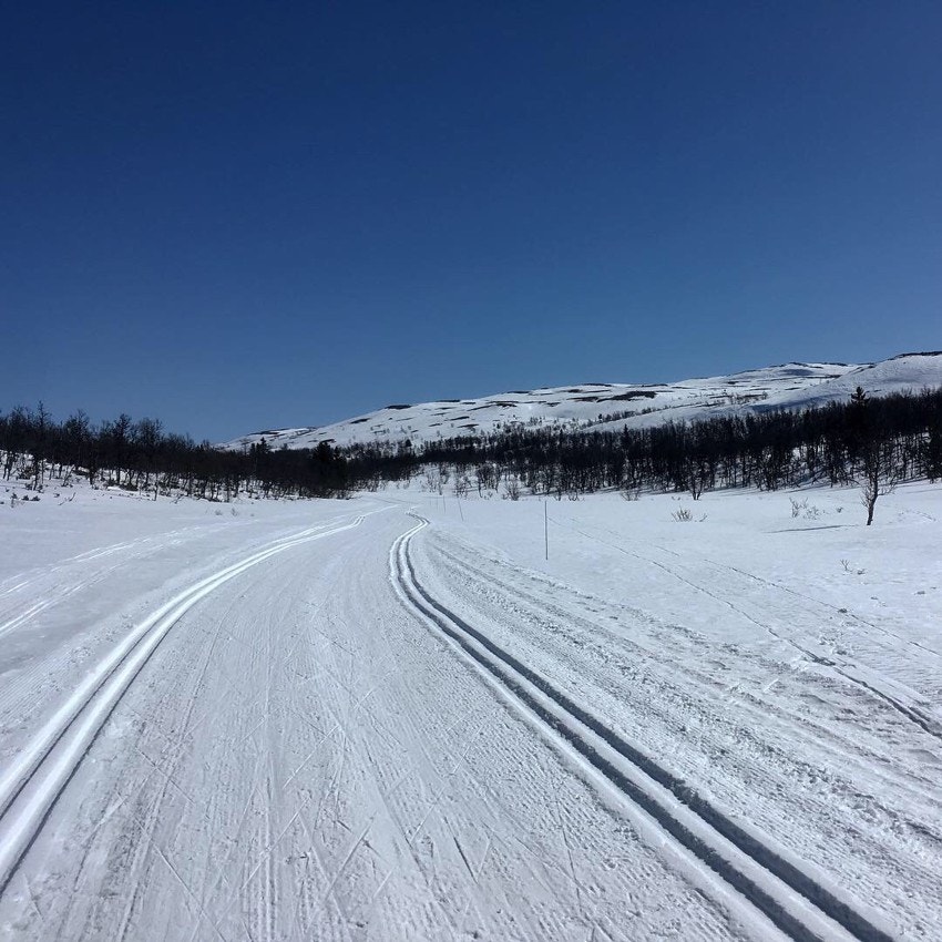 Det kjøres også opp lokale tidligløyper i en sløyfe på ca 3-4 km i hyttefeltet så fort det kommer snø, ofte er det løyper allerede i november på platået som ligger på ca 1000 m. Galleribilde