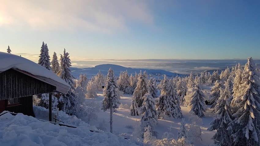 Vinteridyll - Bilde fra selgers arkiv Galleribilde
