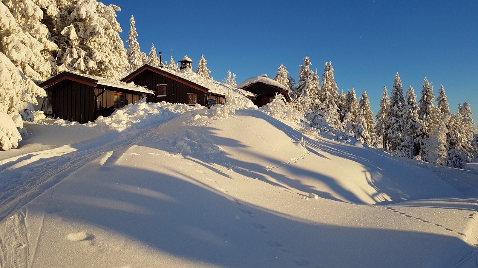 Vinterbilde fra selgers arkiv Galleribilde