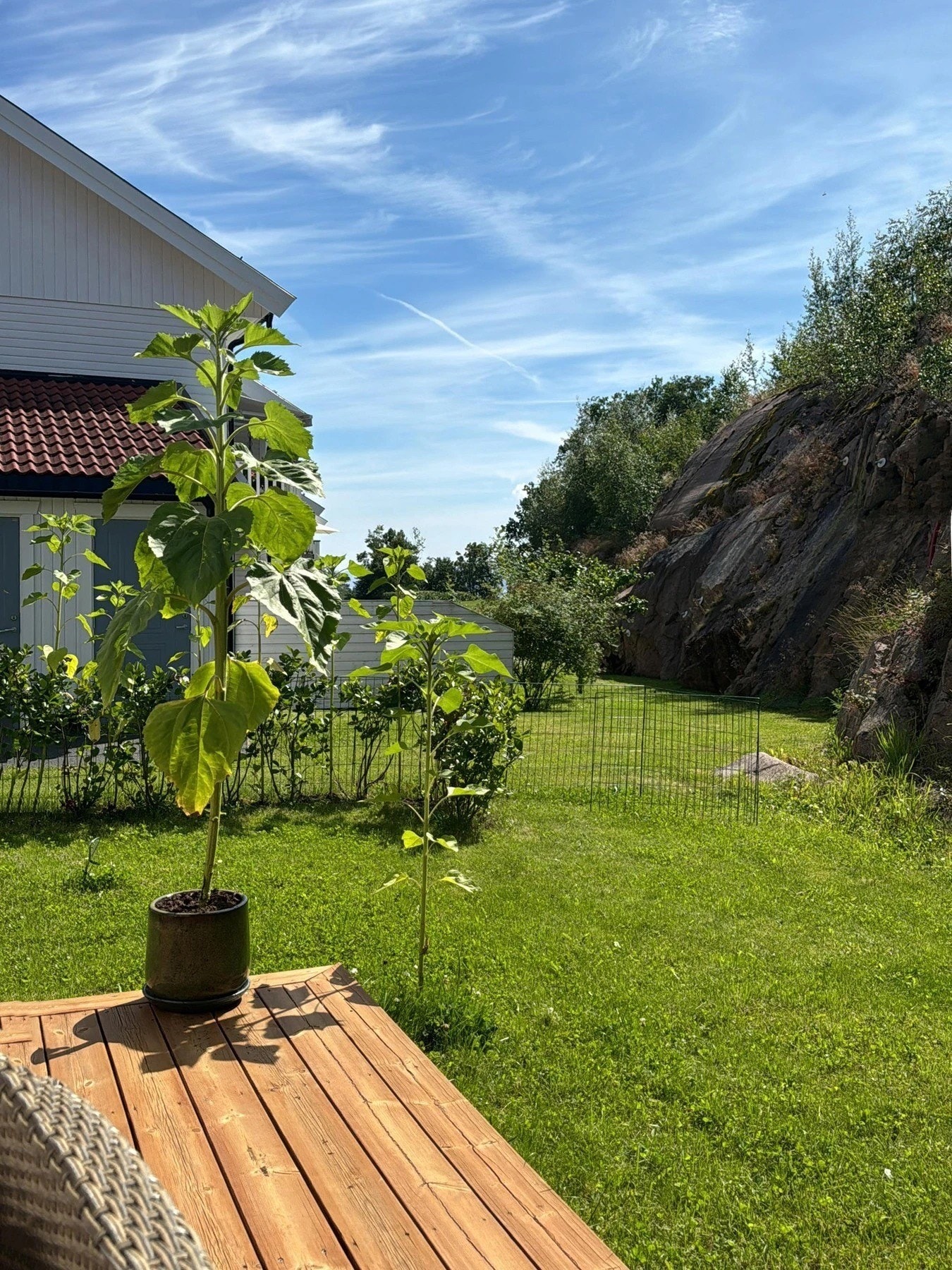 Platting Galleribilde