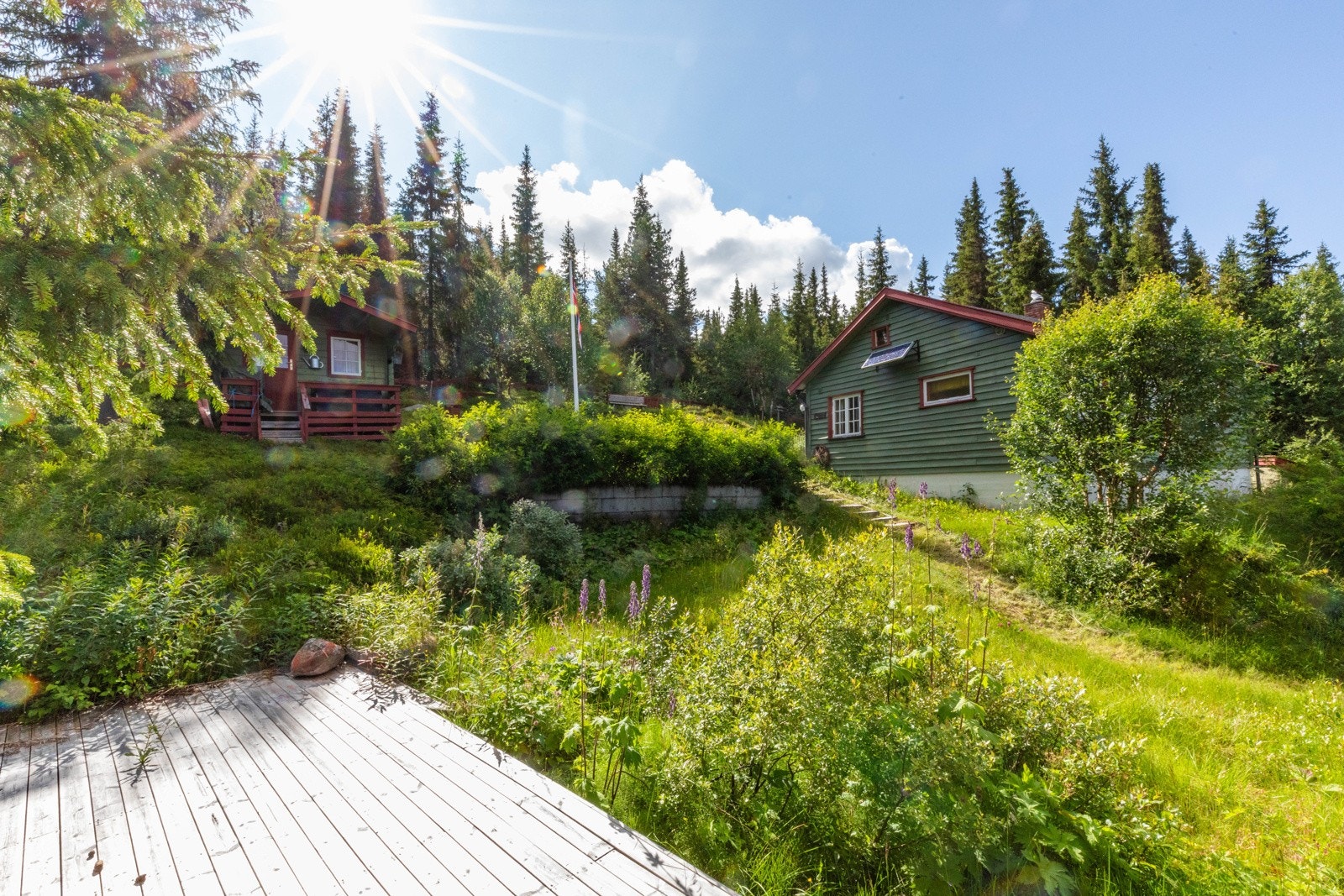 Koselig tun med hytte, anneks og lagerbygg Galleribilde