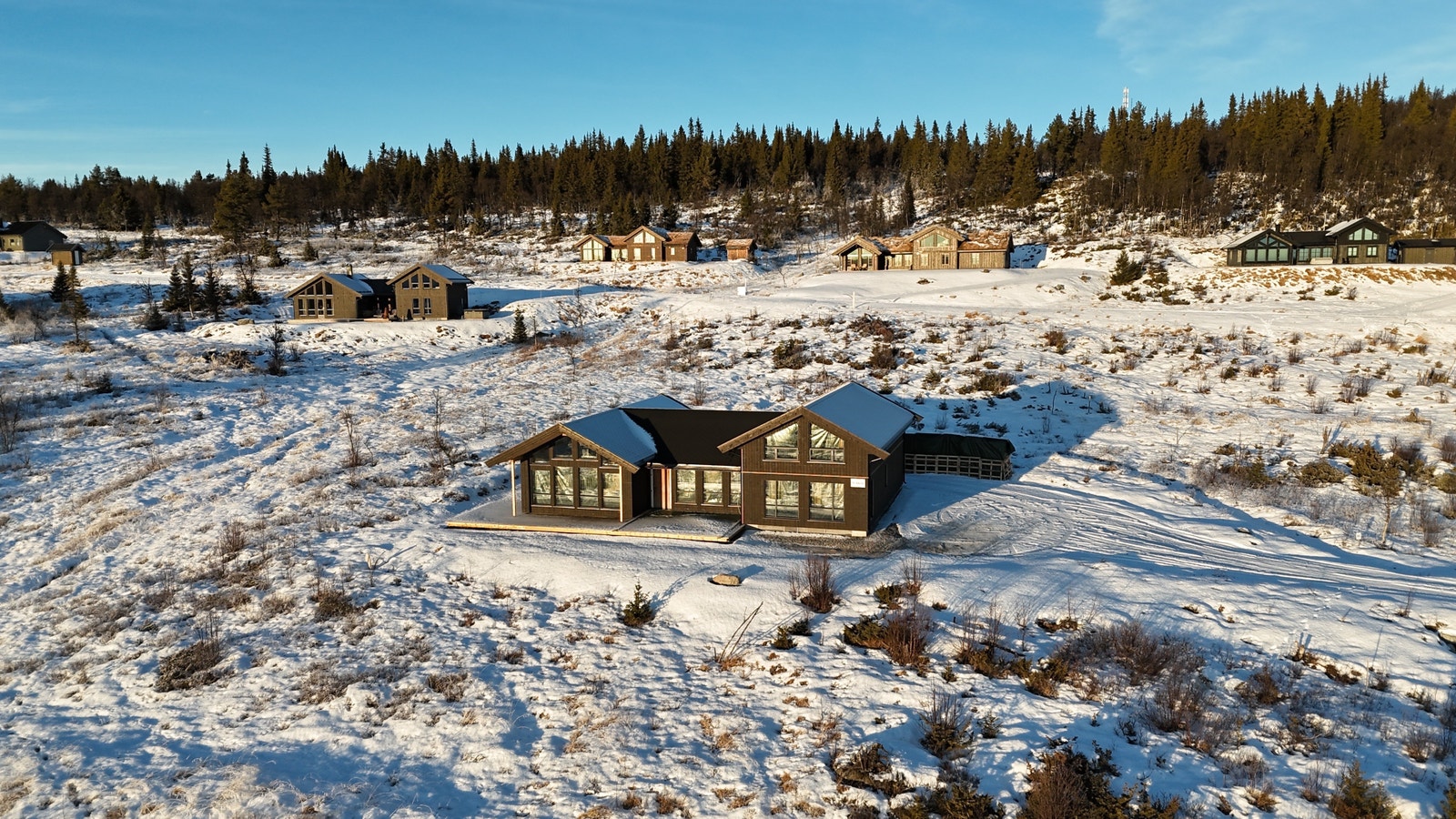 24.12.2025 Galleribilde