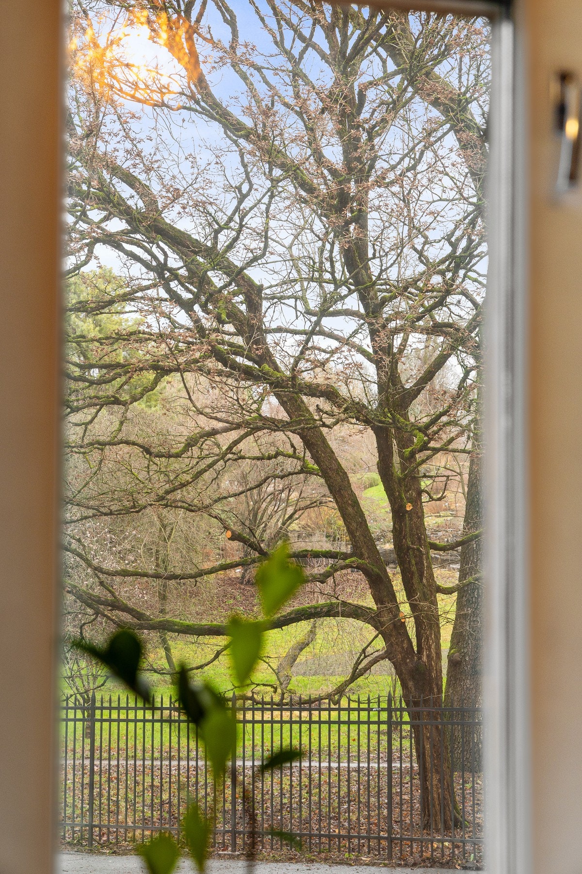 Botaniske Hage er nærmeste nabo. Galleribilde
