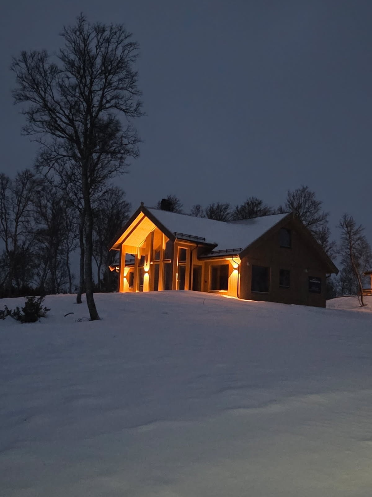 Stemning i Jakobsåsen. Galleribilde