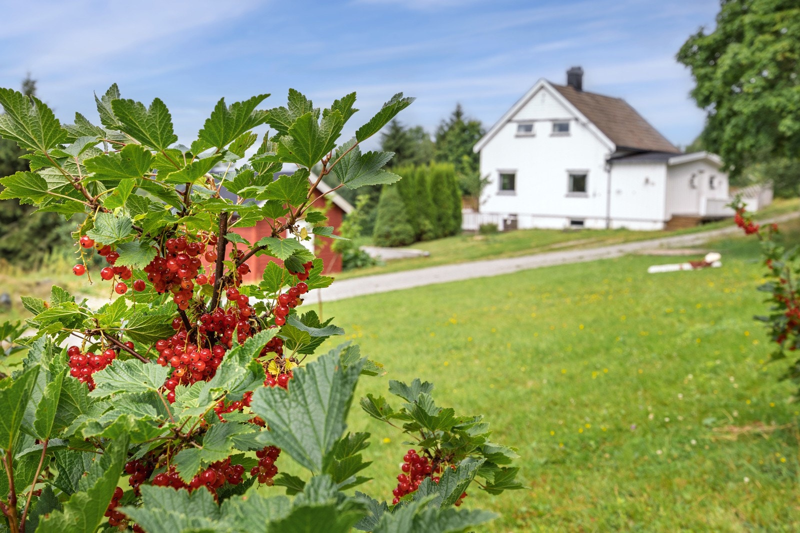 En anledning av de sjeldne, velkommen til en hyggelig visning. Galleribilde