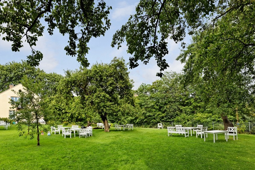 Stor gressplan, felles grill, store trær, sittegrupper m.m.. Galleribilde