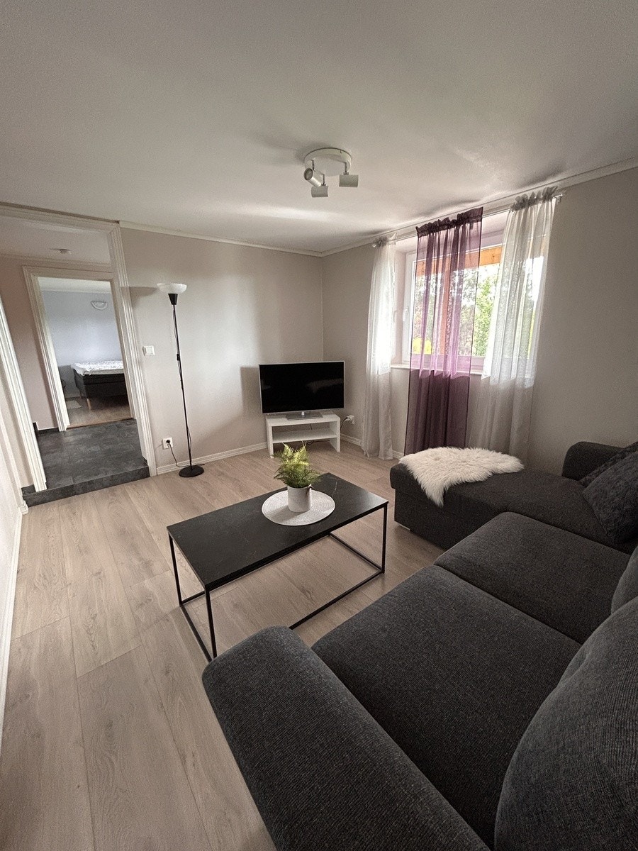 Fin og lys stue Galleribilde