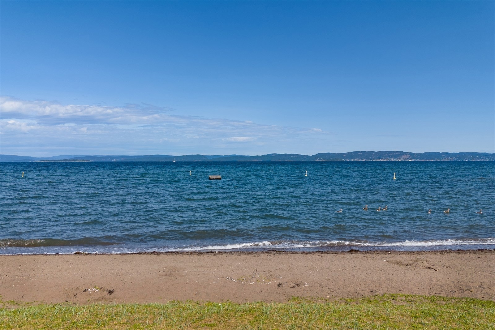 Refsnesstranda og Tronvikstranda ligger i gangavstand fra boligen, og byr på både gressletter og sandstrand. Galleribilde