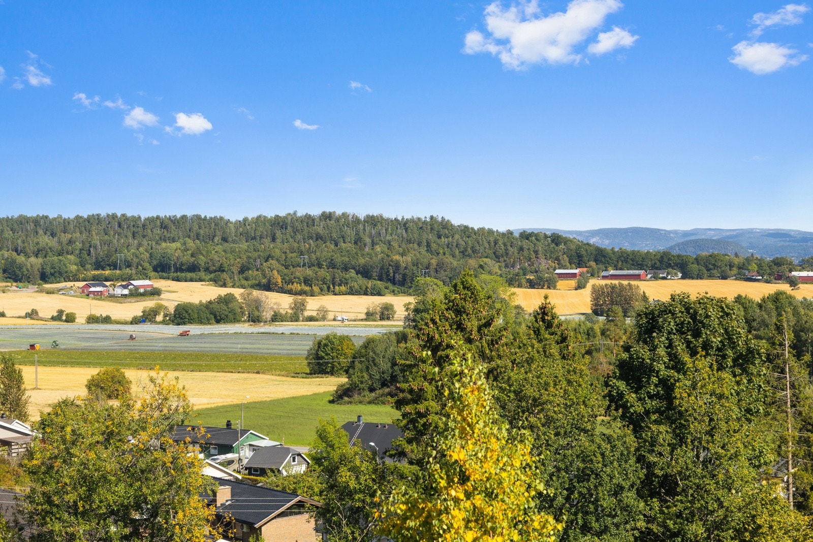 Her ser man langt. Galleribilde