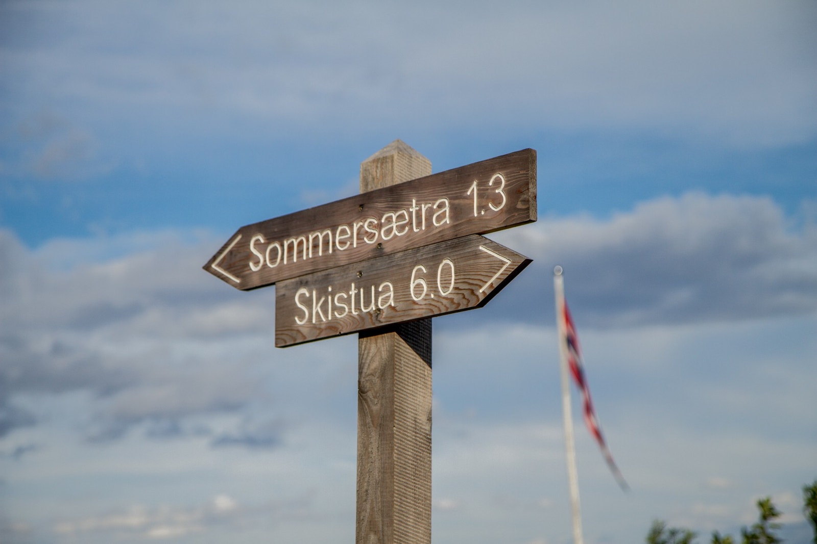 Kort vei til Bymarka med helårs turterreng, samt bade- og fiskemuligheter. Galleribilde