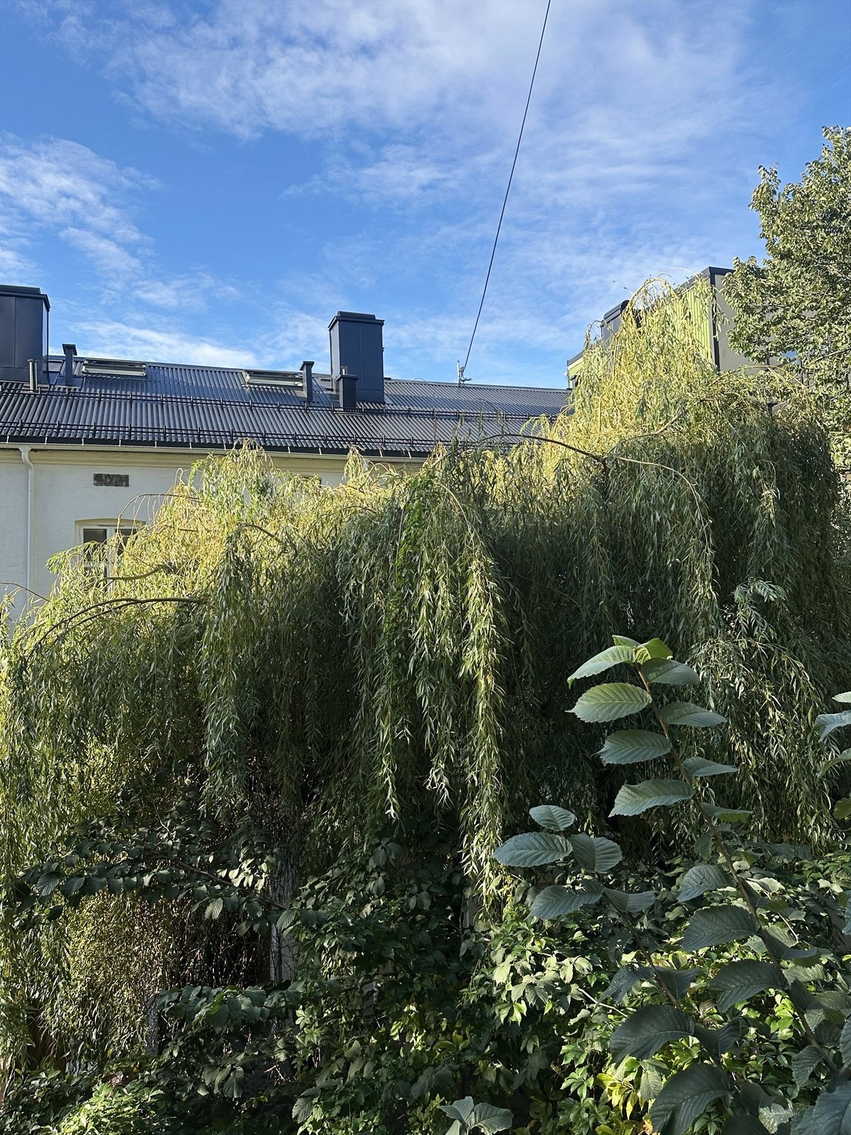 Selgers bilde tatt fra soverommet. Galleribilde