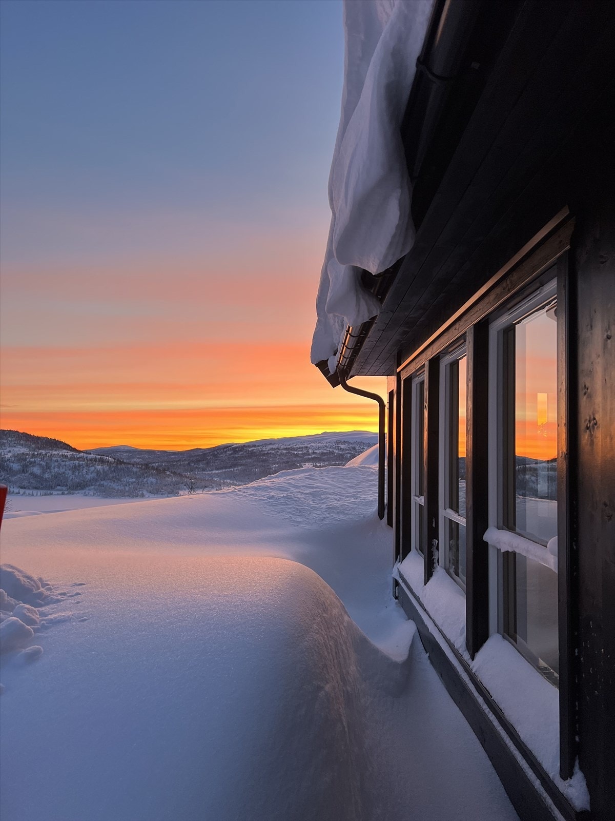 Selgers privatebilder. Galleribilde