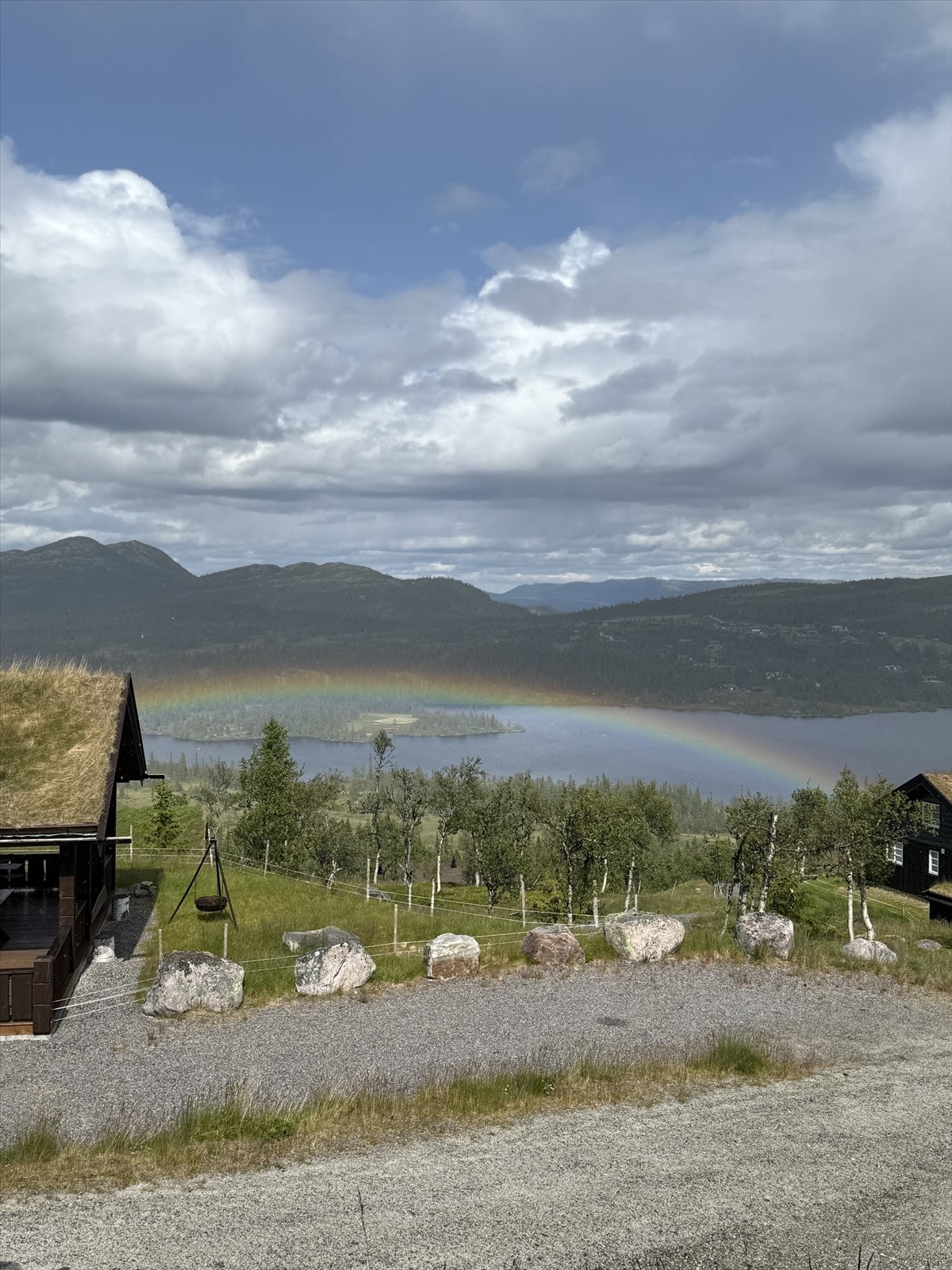 Selgers privatebilder. Galleribilde