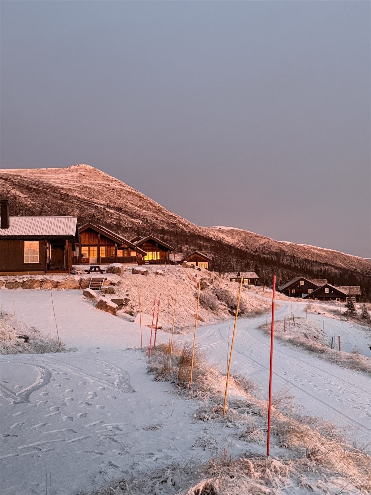 Selgers privatebilder. Galleribilde