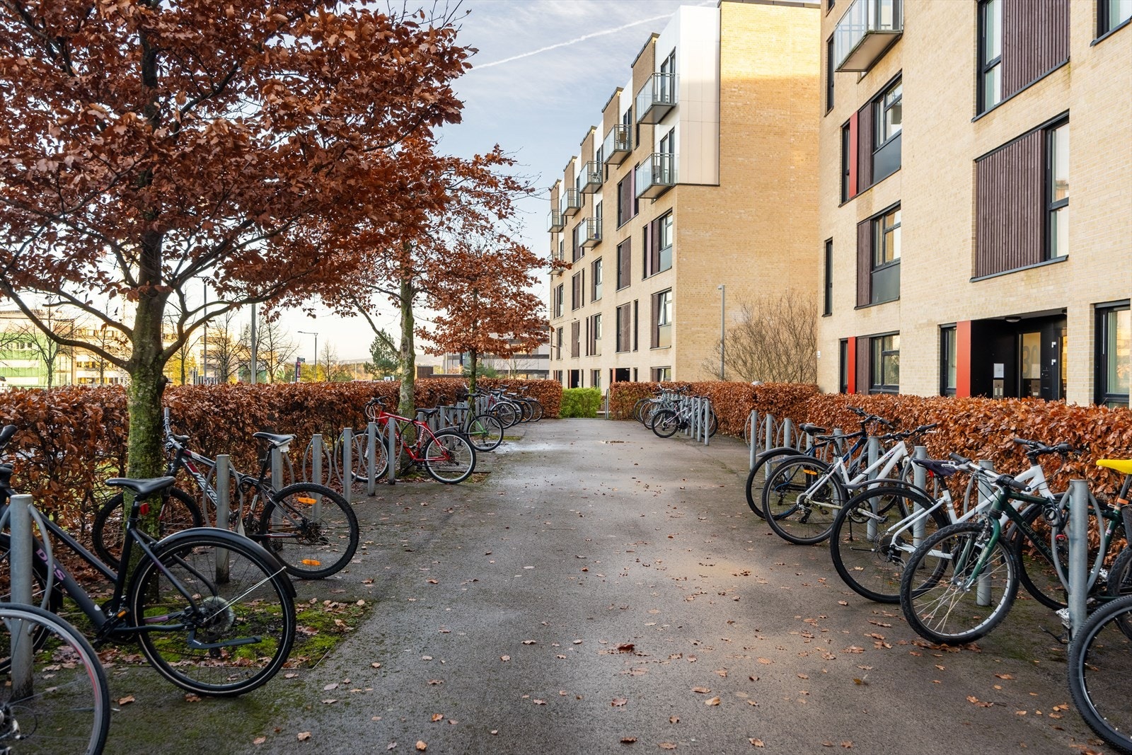 Sykkelparkering i sameiet ute og inne i oppvarmet parkeringsanlegg. Galleribilde
