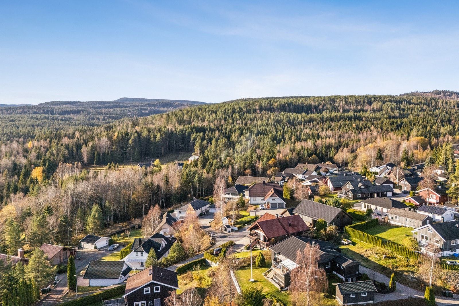 Velkommen til en hyggelig visning! Galleribilde
