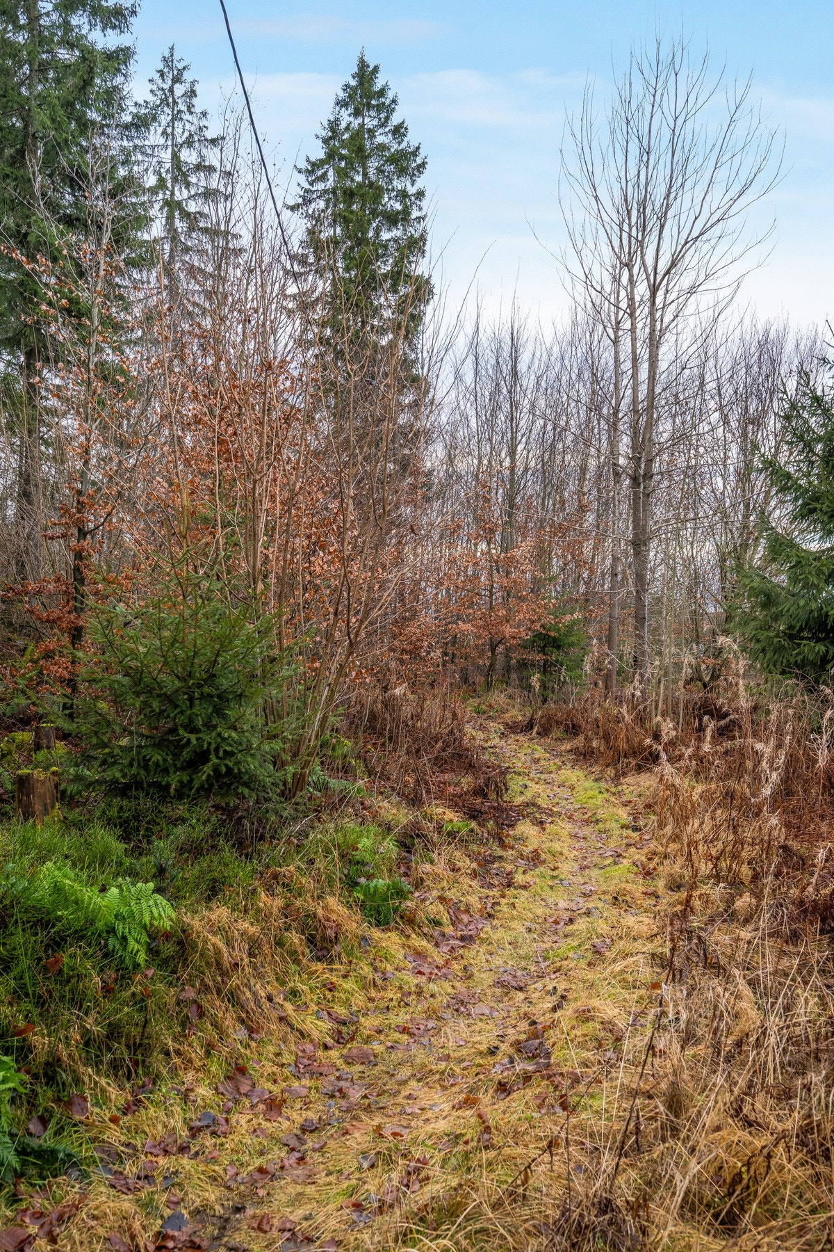 Tursti like utenfor døren. Galleribilde