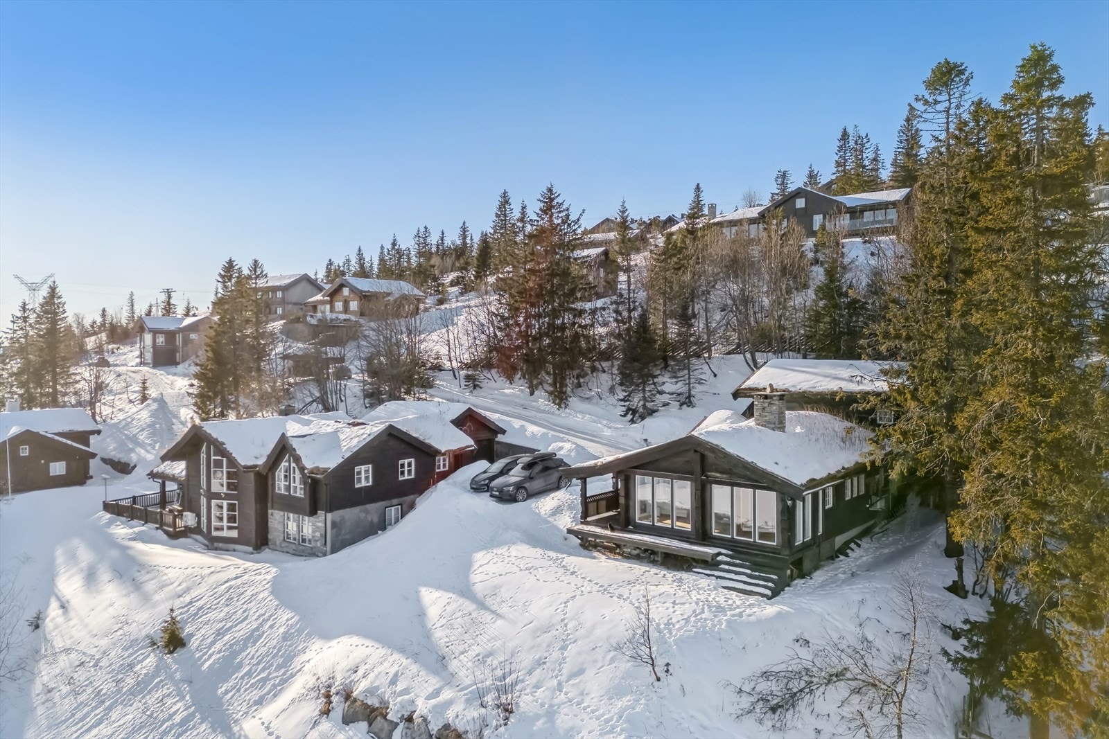 Eiet tomt i østvendt, skrånende terreng. Galleribilde