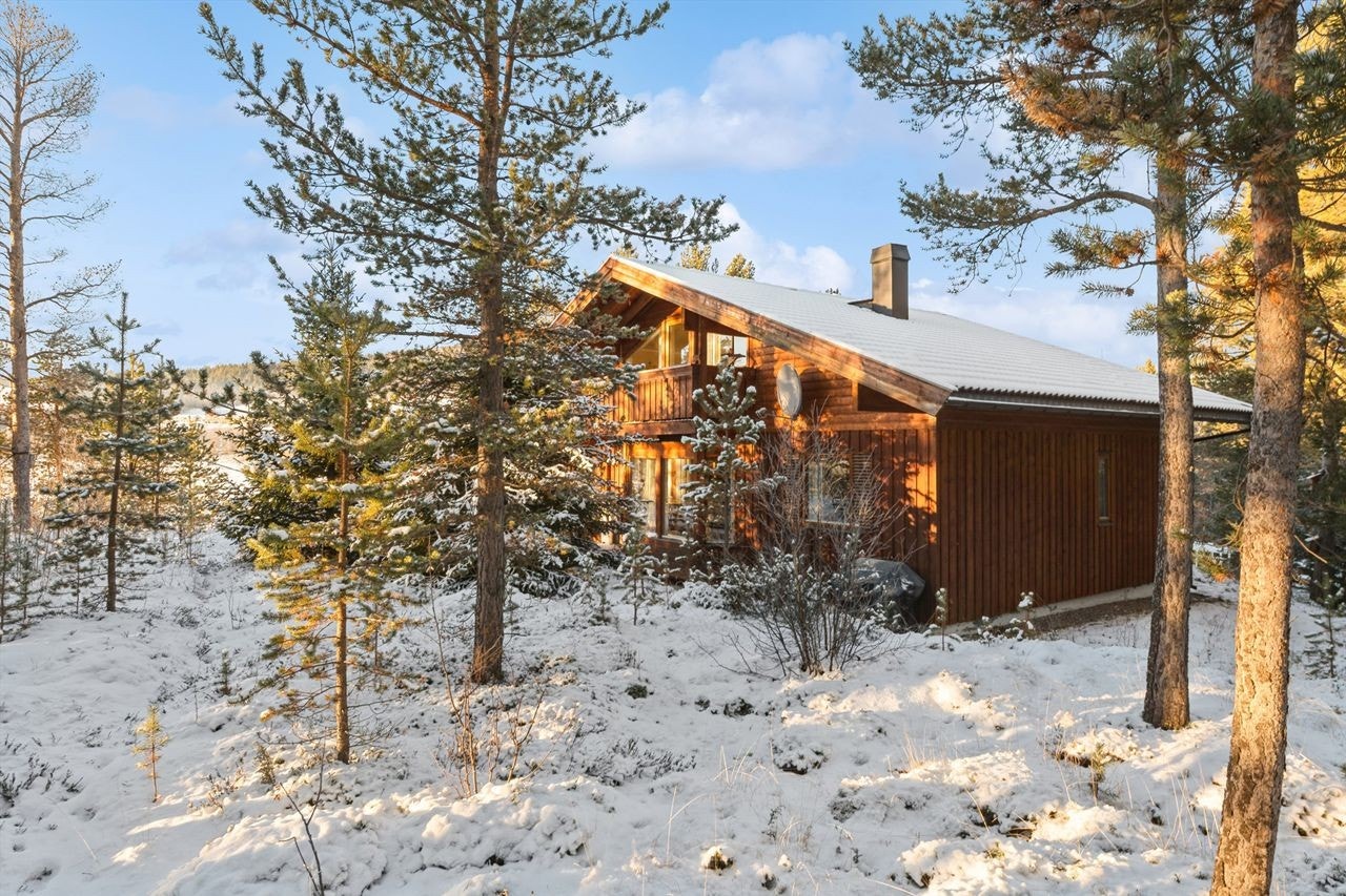 Eiendommen har gode solforhold. Galleribilde