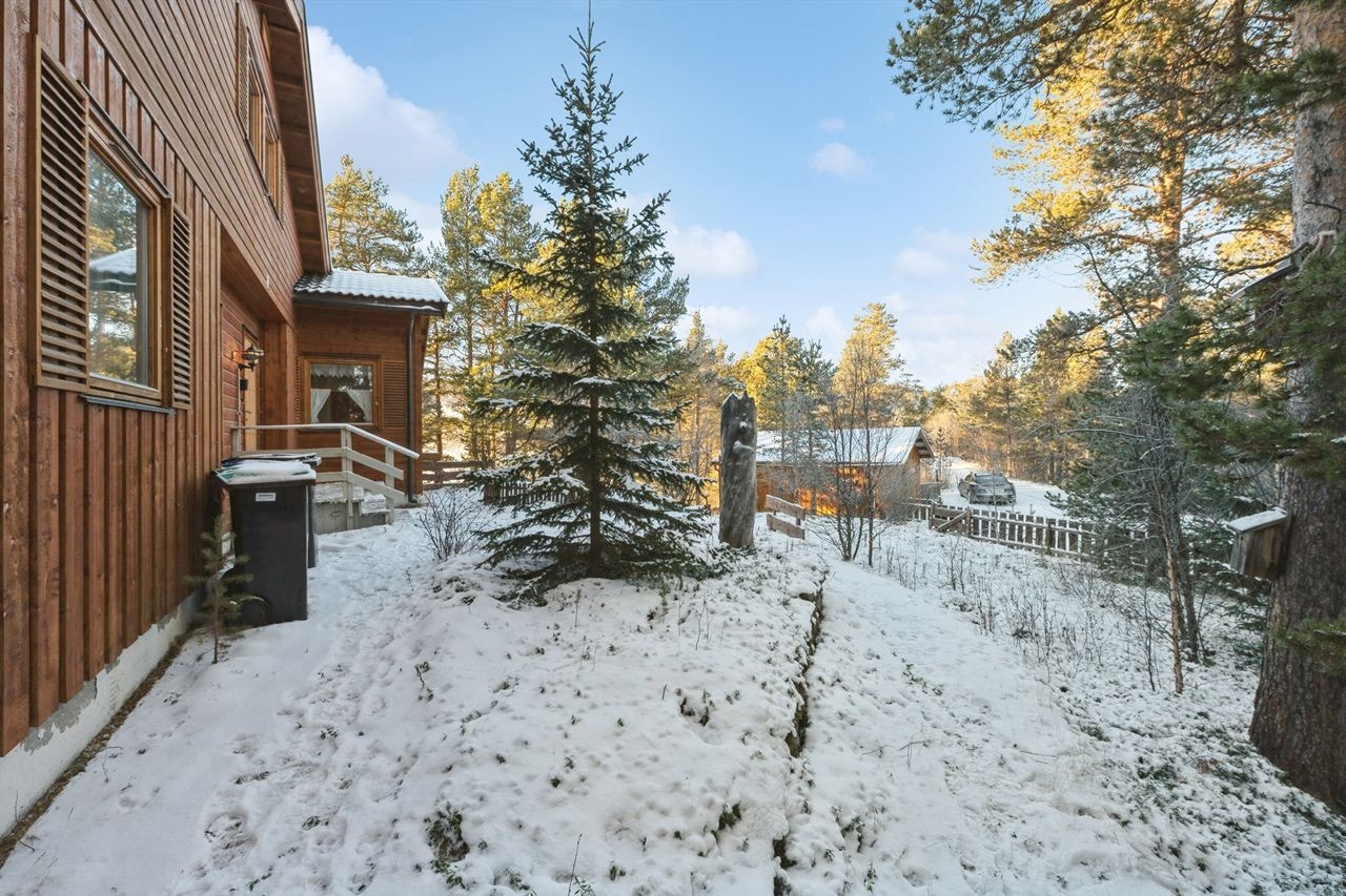 Tomten er omgitt av furutrær og byr på fine uteområder. Galleribilde